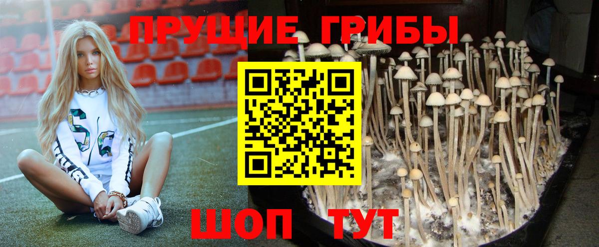 Псилоцибиновые грибы мухоморы Лабинск